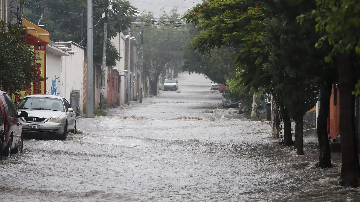 LAS CONTINGENCIAS AMBIENTALES