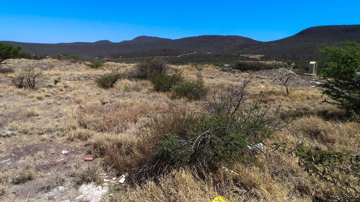 WhatsApp Image 2026-03-20 at 11.05.23