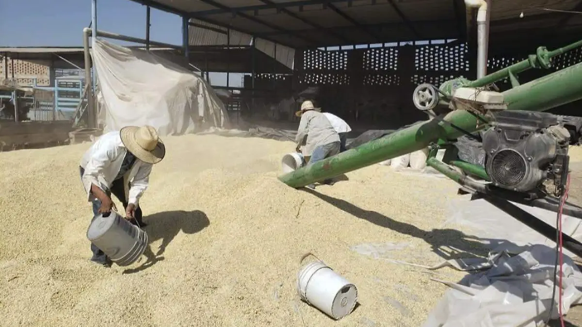 LA SECRETARIA DE AGRICULTURA