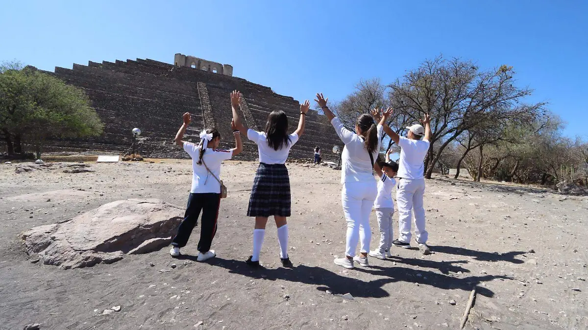 1463f12d-e008-49d5-9152-c133d1b5c352