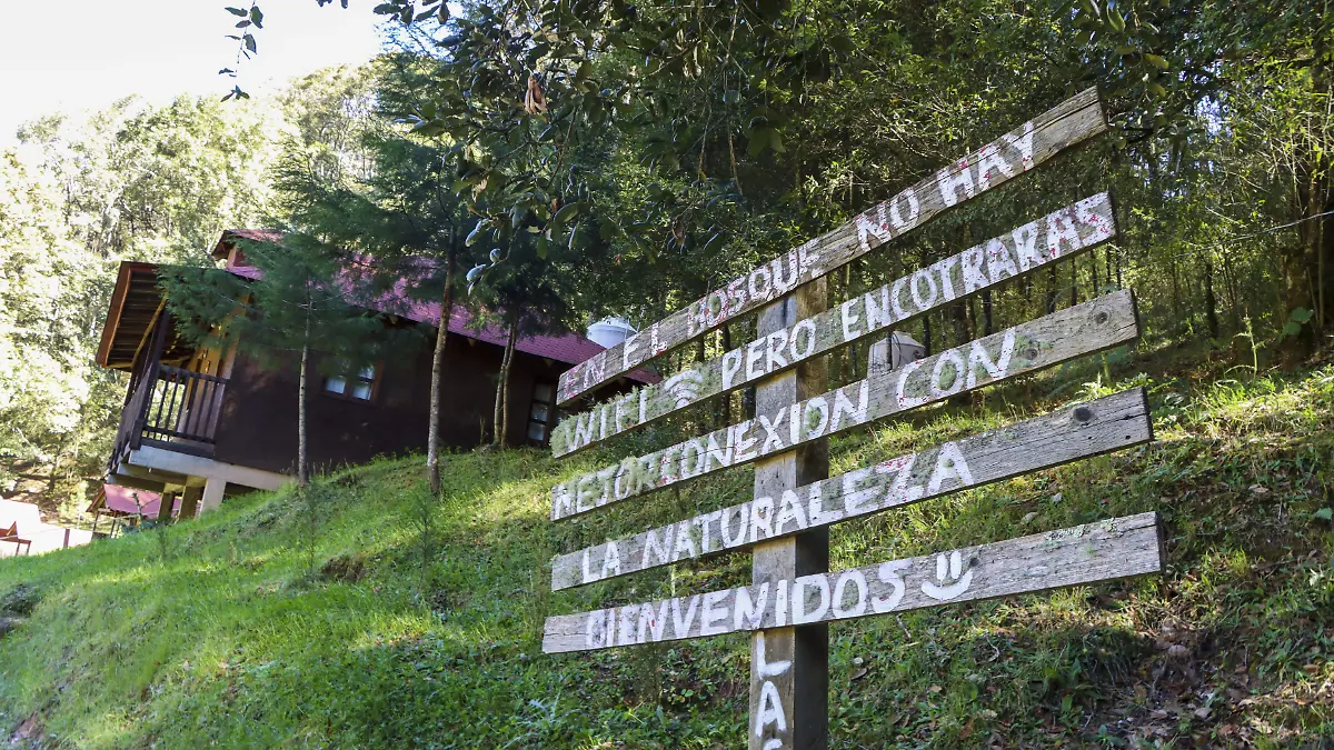 260227_CABAÑAS SAN JOAQUIN_HA_5