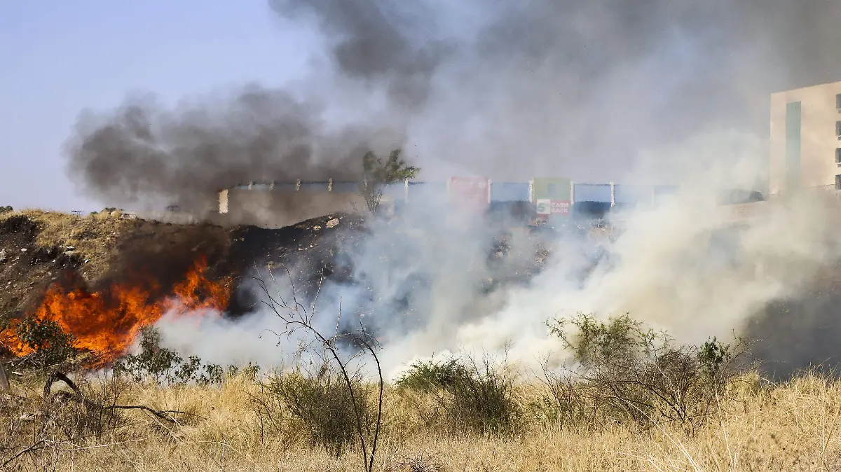 250318_INCENDIO LOTE BALDIO_POR  LEGISLATURA_MC_14