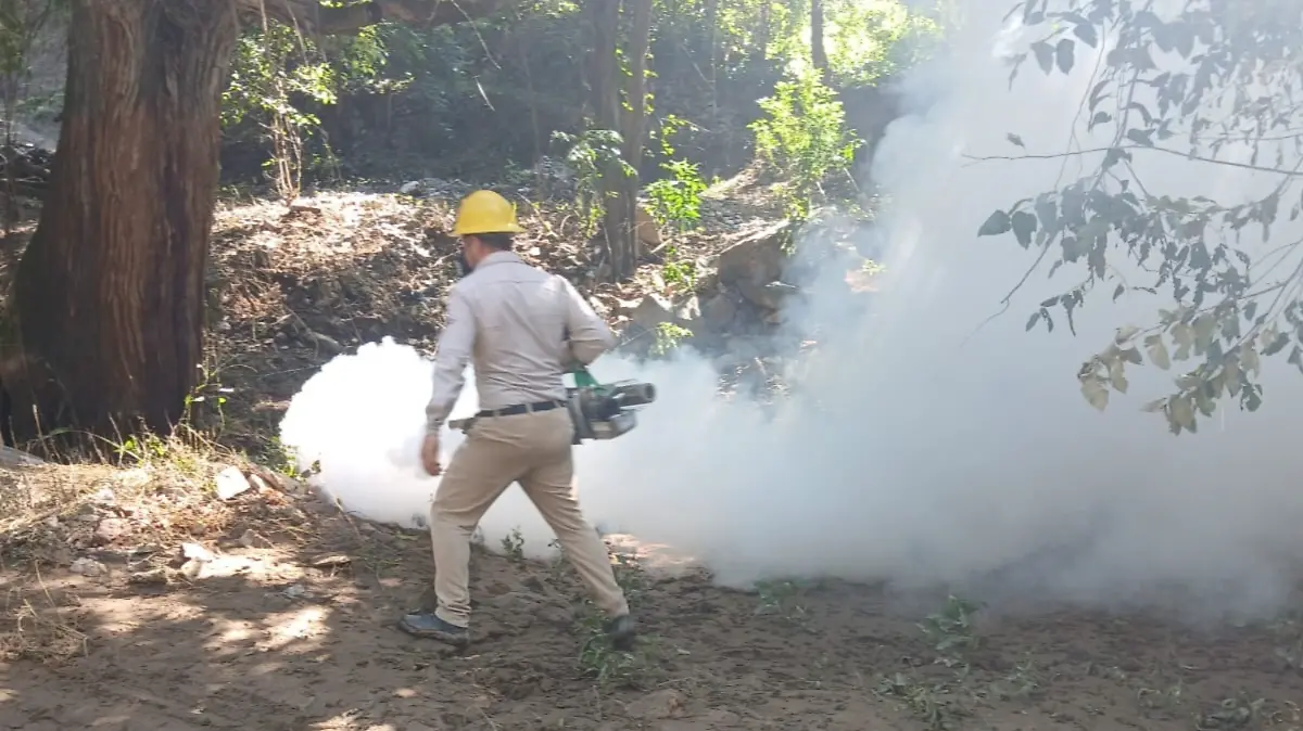 71_273_50672_639299150_IMG_8407