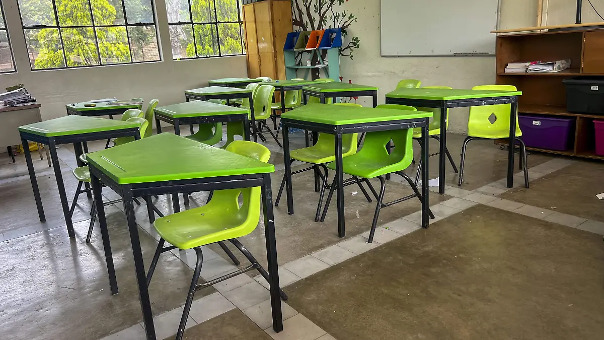 260129_PRIMARIA EDUCACION ESCUELA_HA_2