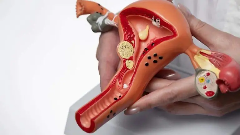 371eeb59-b390-428a-b2cc-f99aee45a1d3