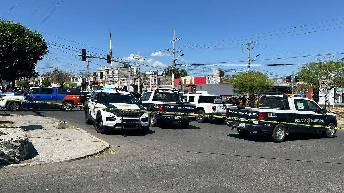 WhatsApp Image 2026-03-26 at 15.01.47