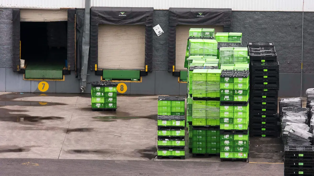 WhatsApp Image 2026-03-31 at 13.55.38