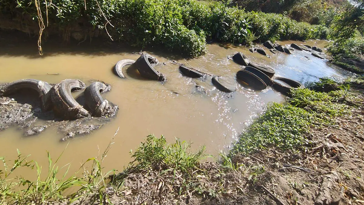 WhatsApp Image 2026-03-31 at 3.25.09 PM (1)