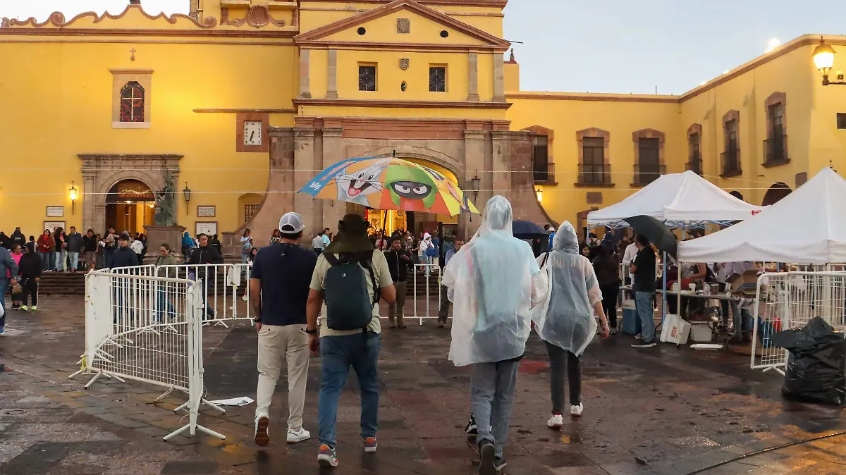 WhatsApp Image 2026-04-02 at 19.45.50