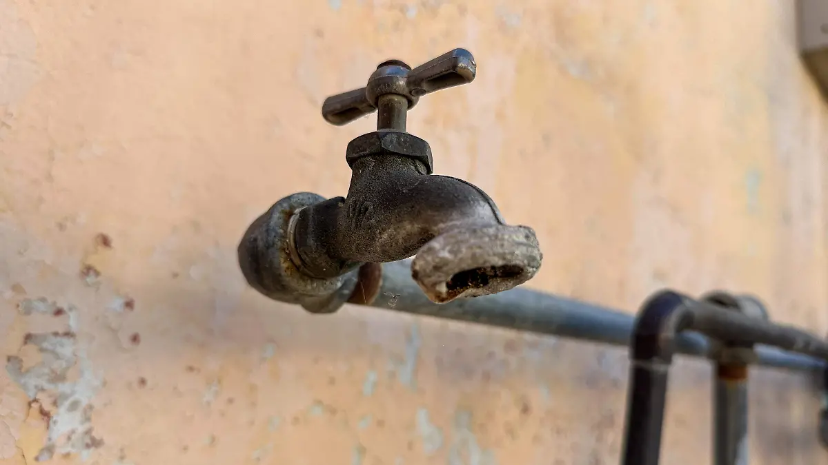 260227_AMORIO DANIELA SPALLA Y STEMAN_IS-02