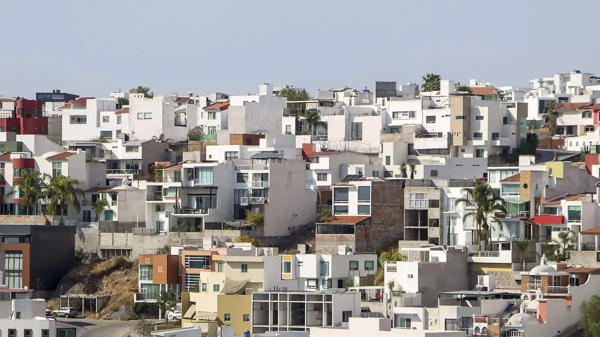 WhatsApp Image 2026-04-08 at 13.00.04