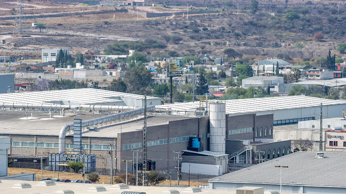 WhatsApp Image 2026-04-08 at 17.49.58