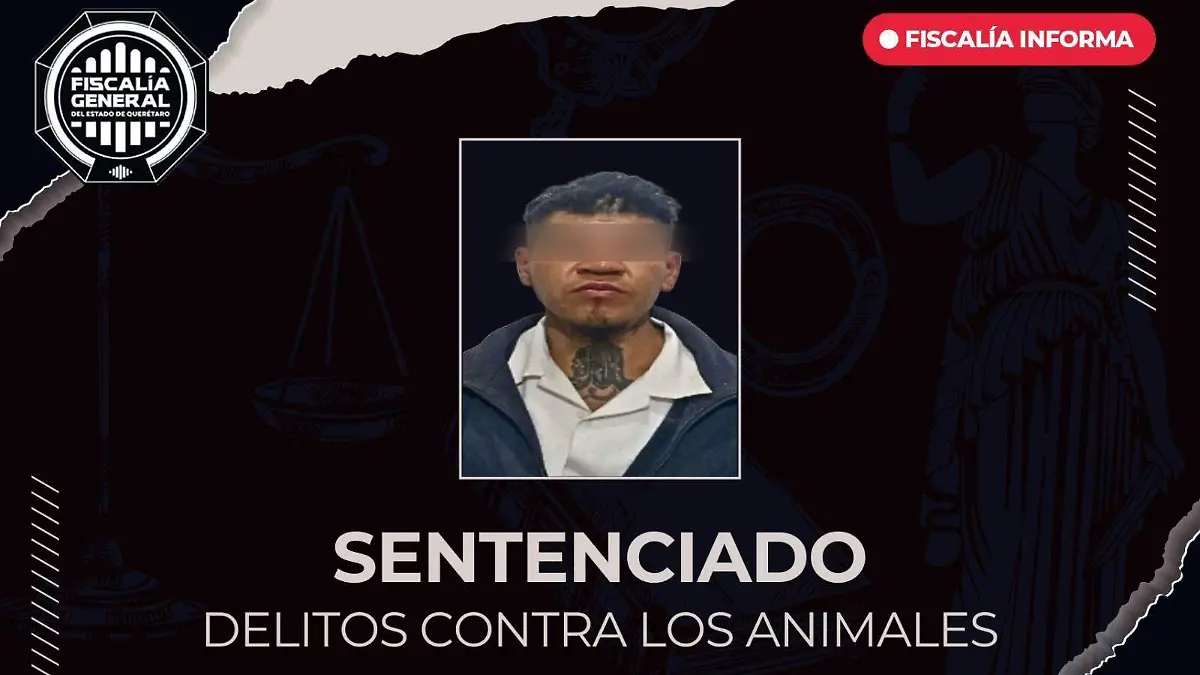 9774a035-3c17-49d5-9286-20d18cf0c83a