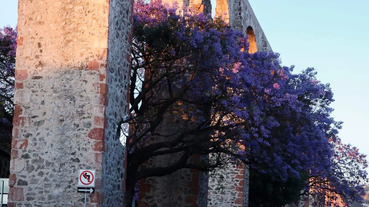 afca7751-0669-4fd3-81d1-a9fcfd348366