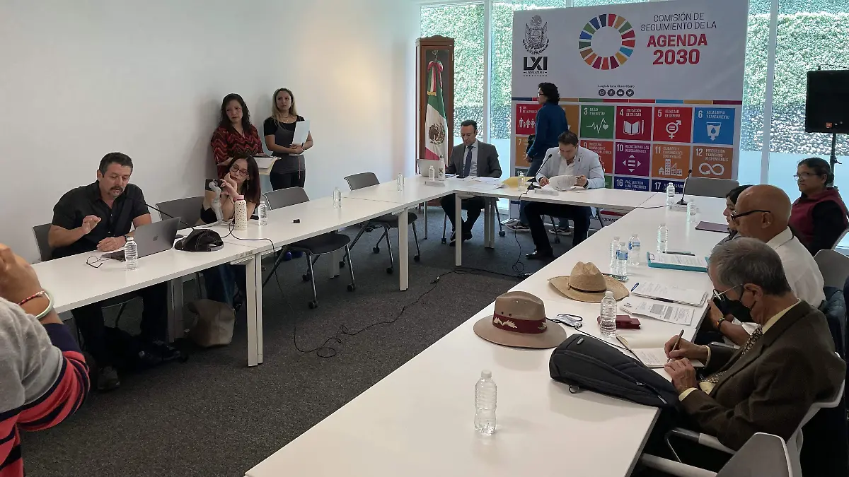 LA COMISION DE SEGUIMIENTO