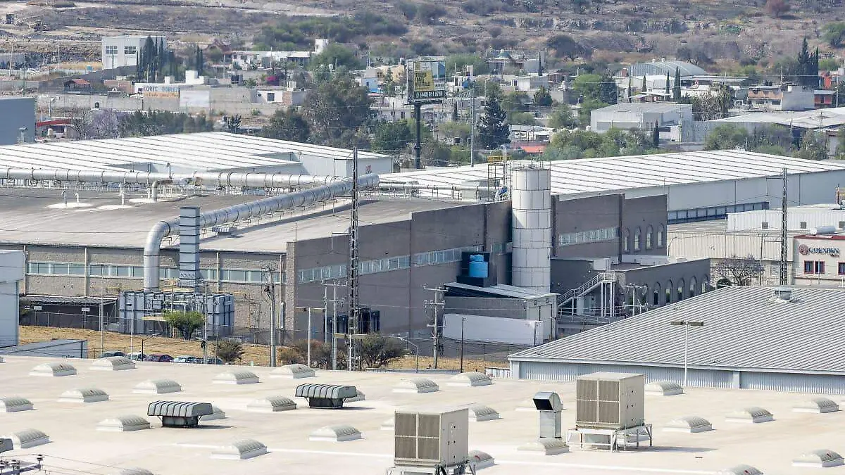 WhatsApp Image 2026-04-12 at 12.34.20