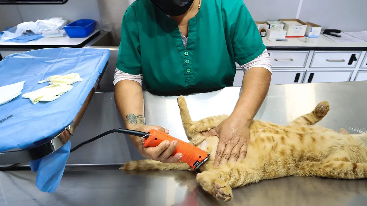 f51be075-860f-4cb7-a0bf-f2c7f2ccd946