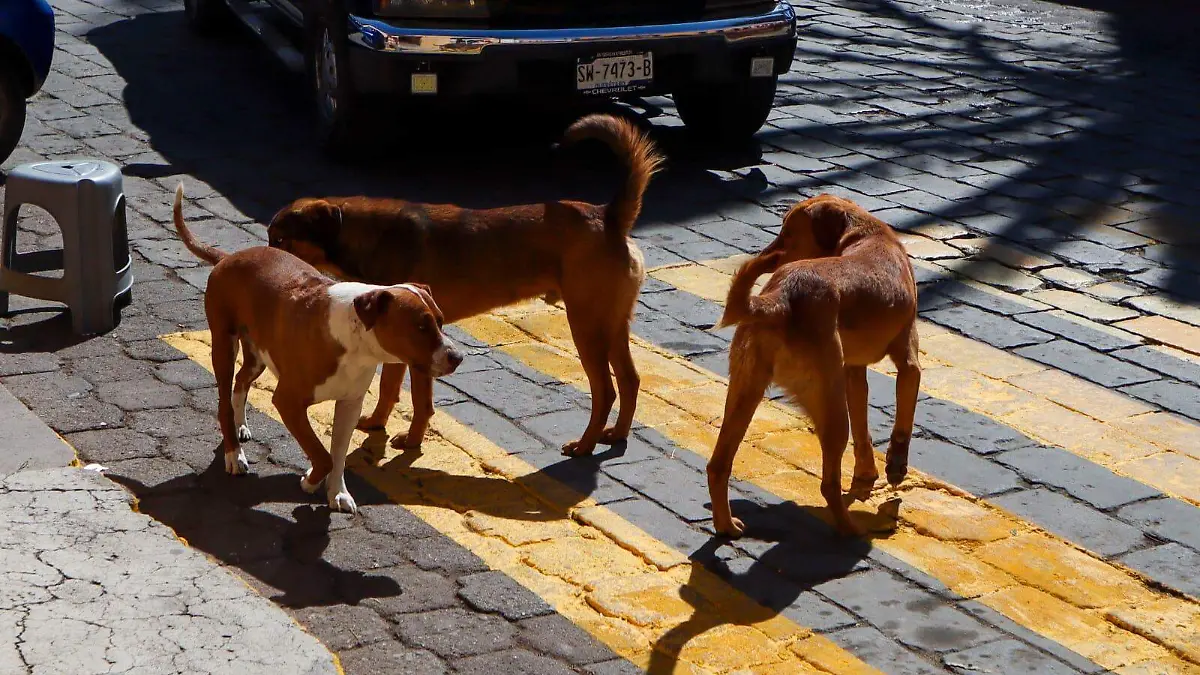 WhatsApp Image 2026-04-14 at 12.12.29