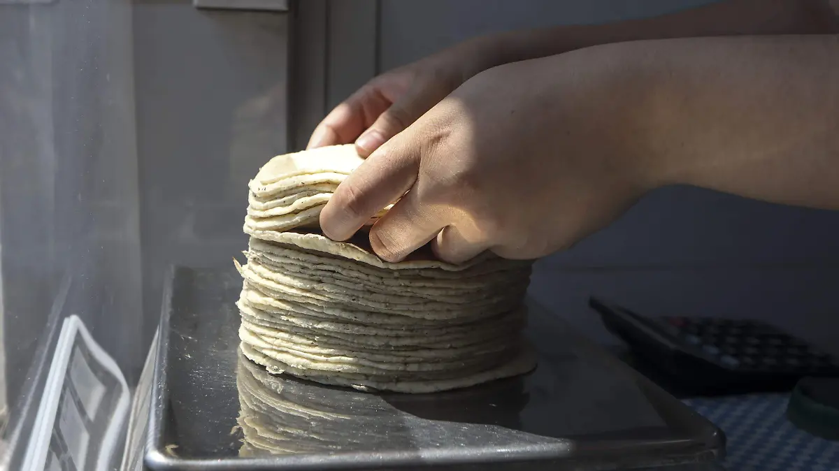 WhatsApp Image 2026-04-14 at 13.31.39