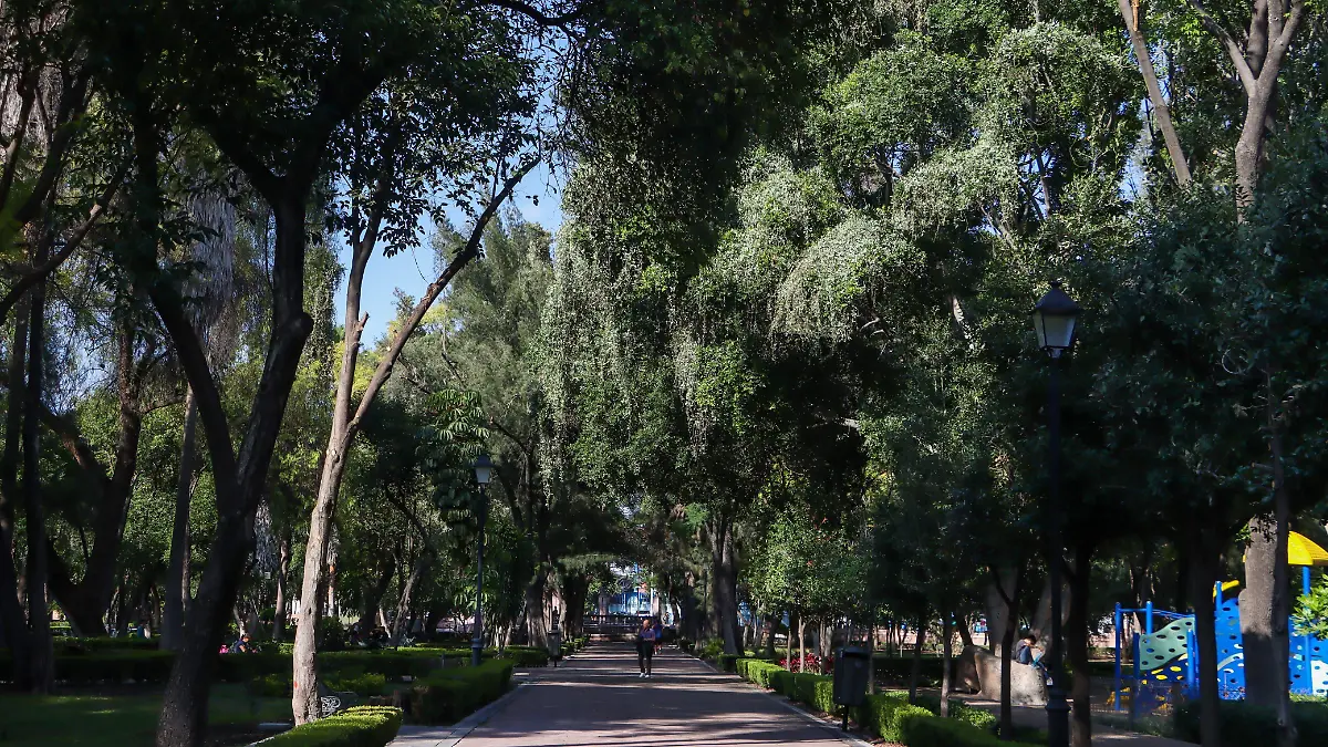 WhatsApp Image 2026-04-18 at 10.06.16