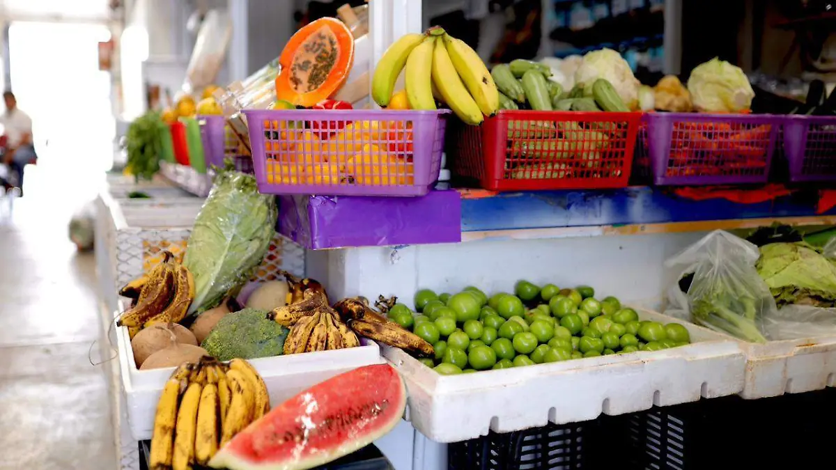 WhatsApp Image 2026-04-20 at 15.01.44