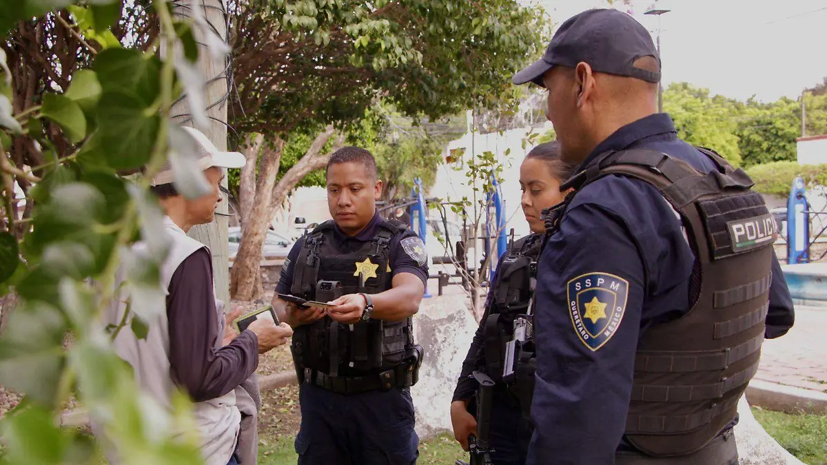 LOS DELITOS PATRIMONIALES