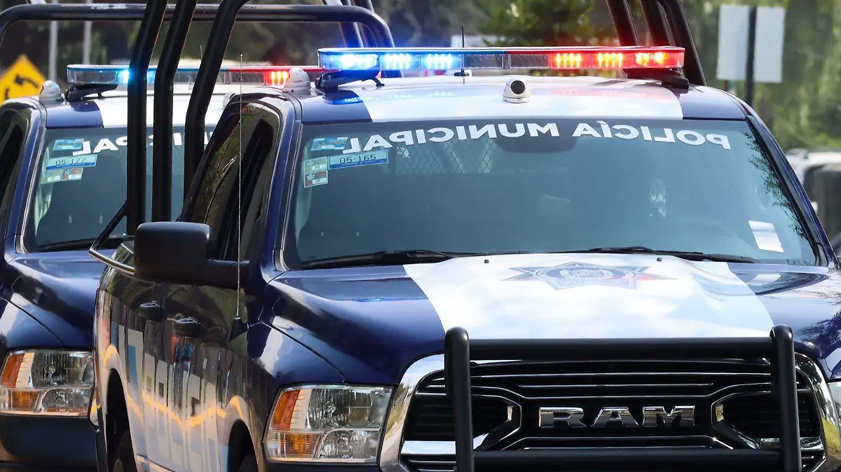 WhatsApp Image 2026-04-24 at 18.23.58