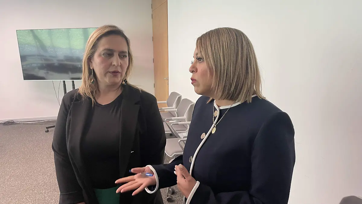 LA FRACCION PARLAMENTARIA