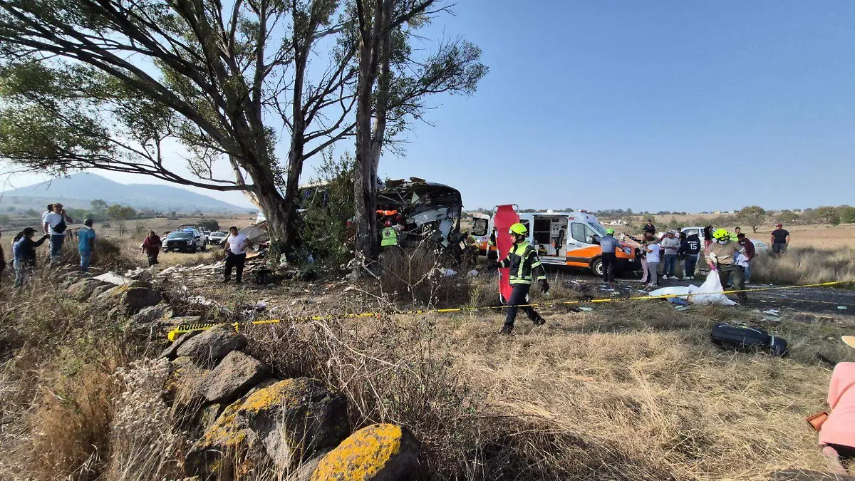 WhatsApp Image 2026-04-23 at 6.20.46 PM (1)