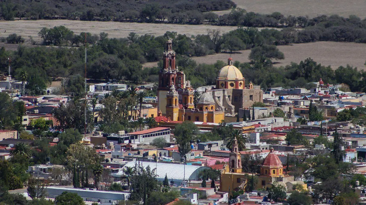 Pimer caso gusano barrenador en humano