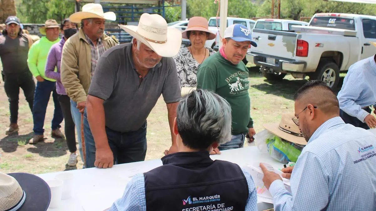 PRODUCTORES