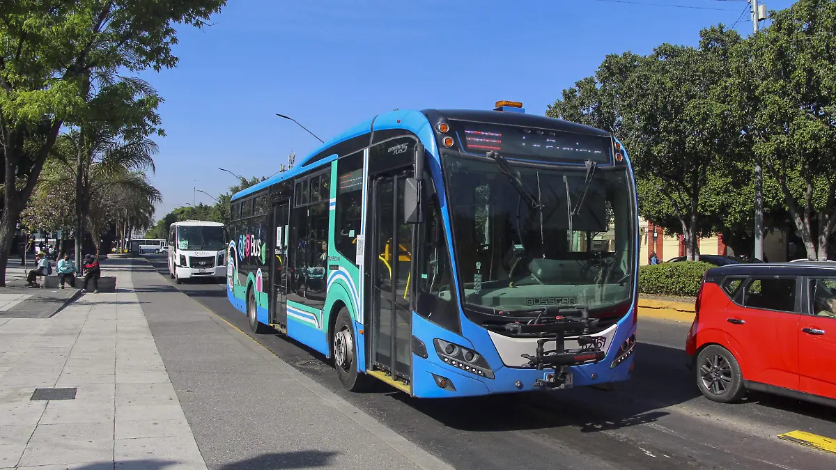 260121_QROBUS_IS_6