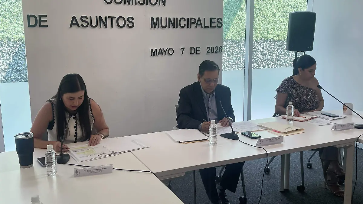 COMISION DE ASUNTOS