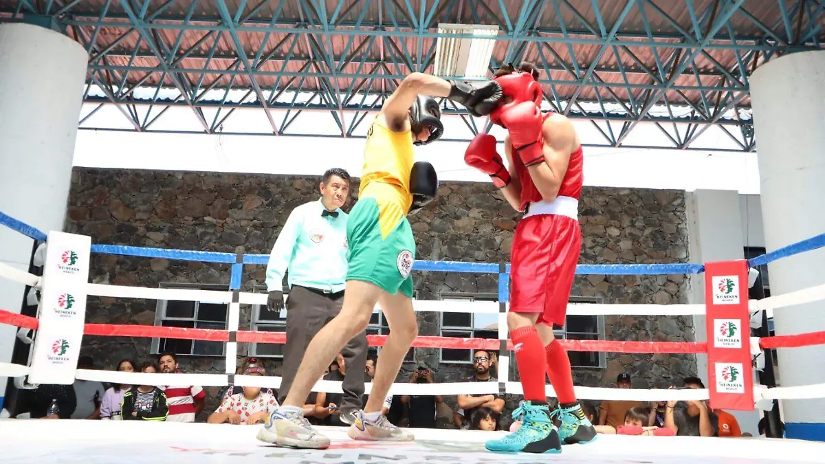 DEP Boxeadores