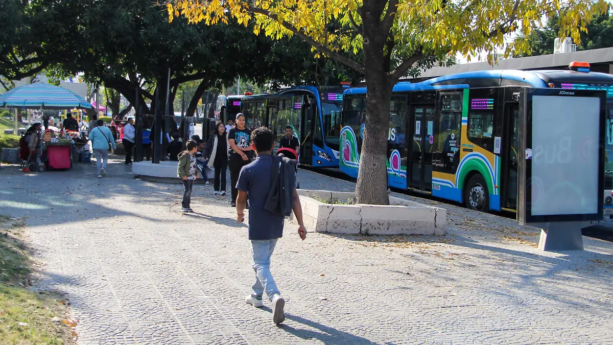 EL SISTEMA QROBUS
