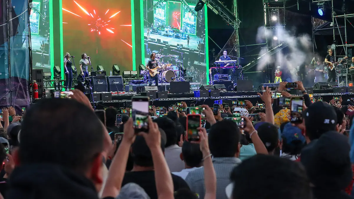 250412_ENANITOS VERDES_IS-2