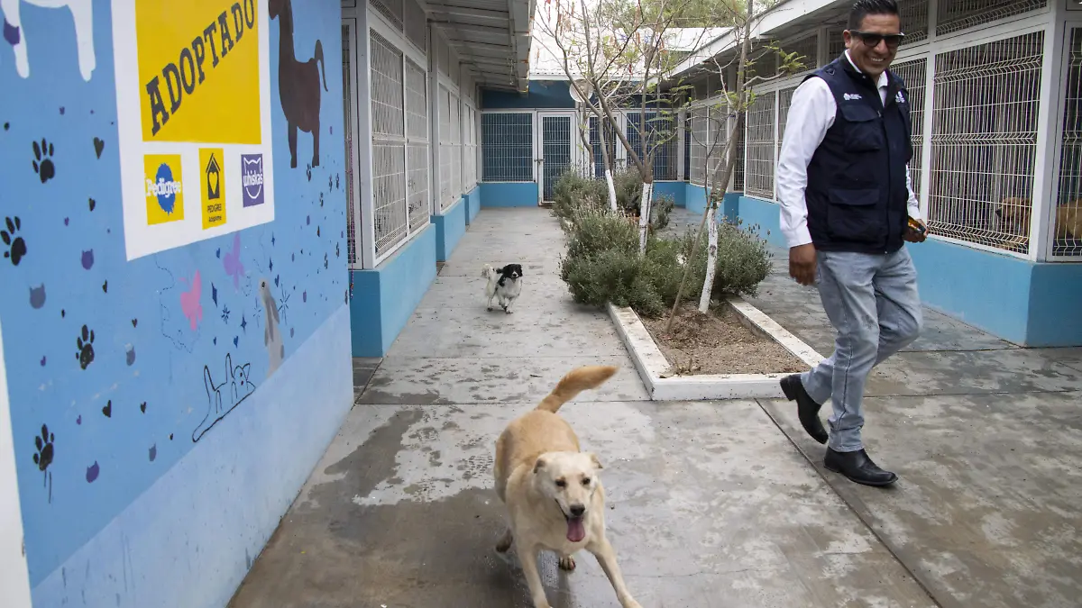 260512_INSTITUTO MUNICIPAL DE PROTECCION ANIMAL_HA_24