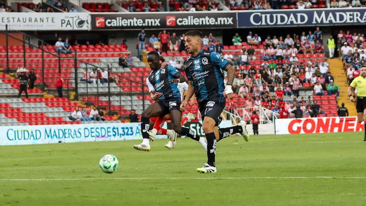 DEP Gallos