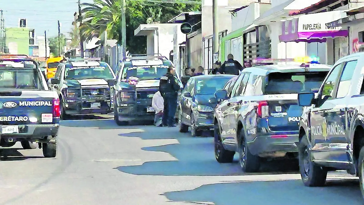 la loma_CMYK