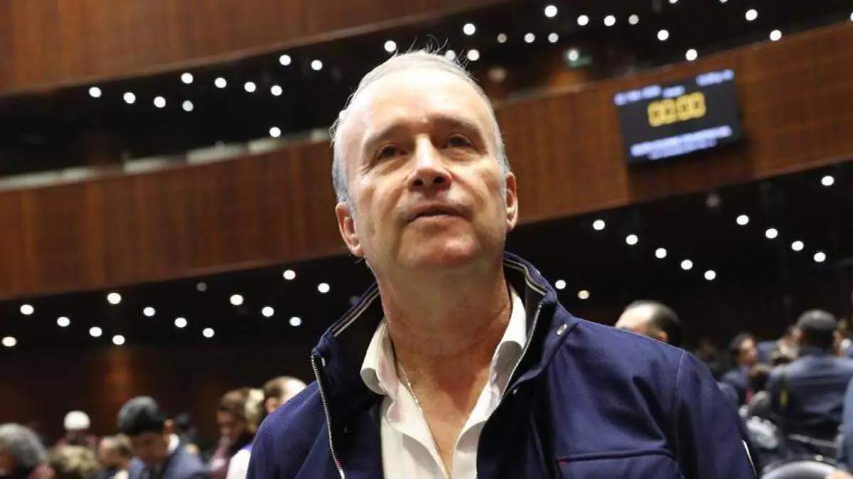 MARIO CALZADA