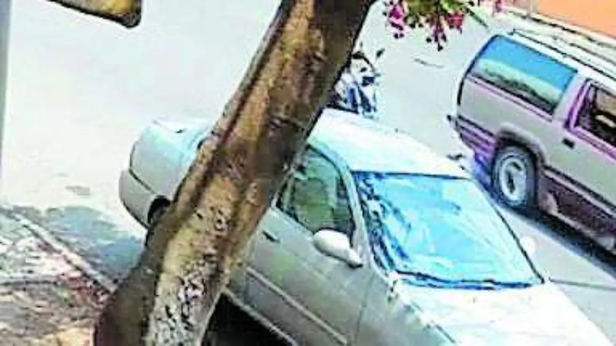 arrollado_CMYK