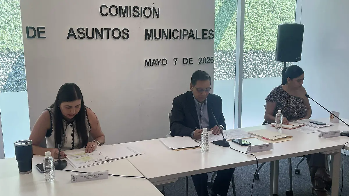 COMISION DE ASUNTOS