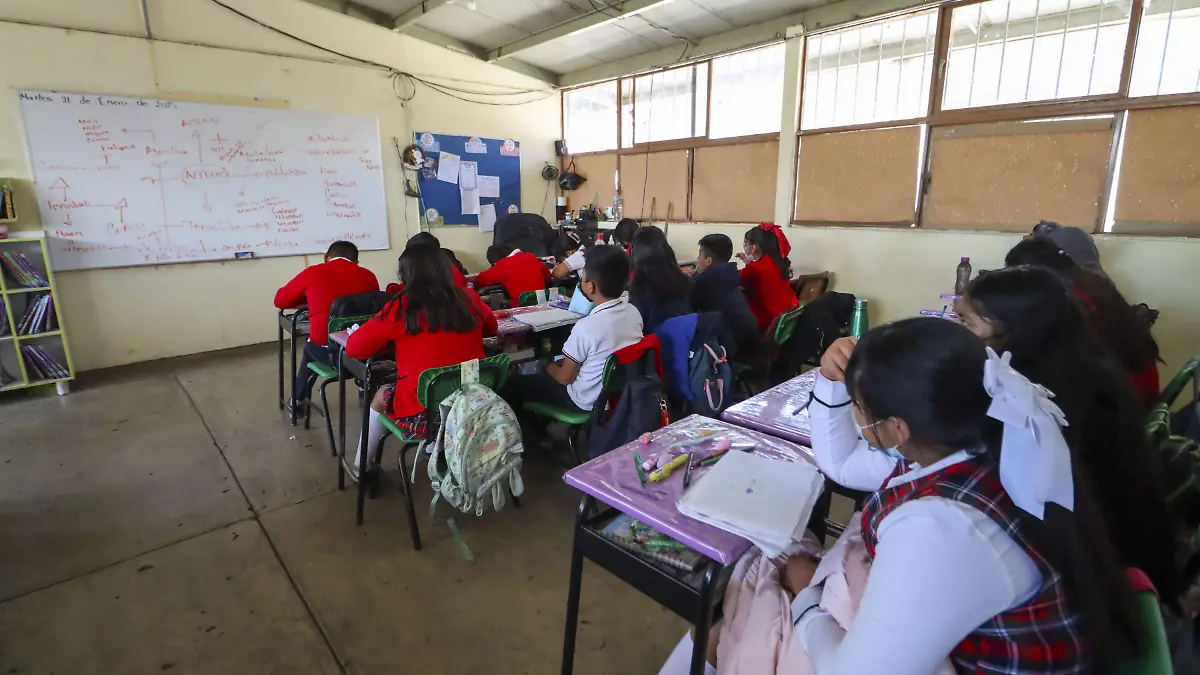 230121_ALUMNOS PRIMARIA_HA _4