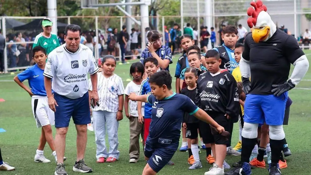 DEP Gallos