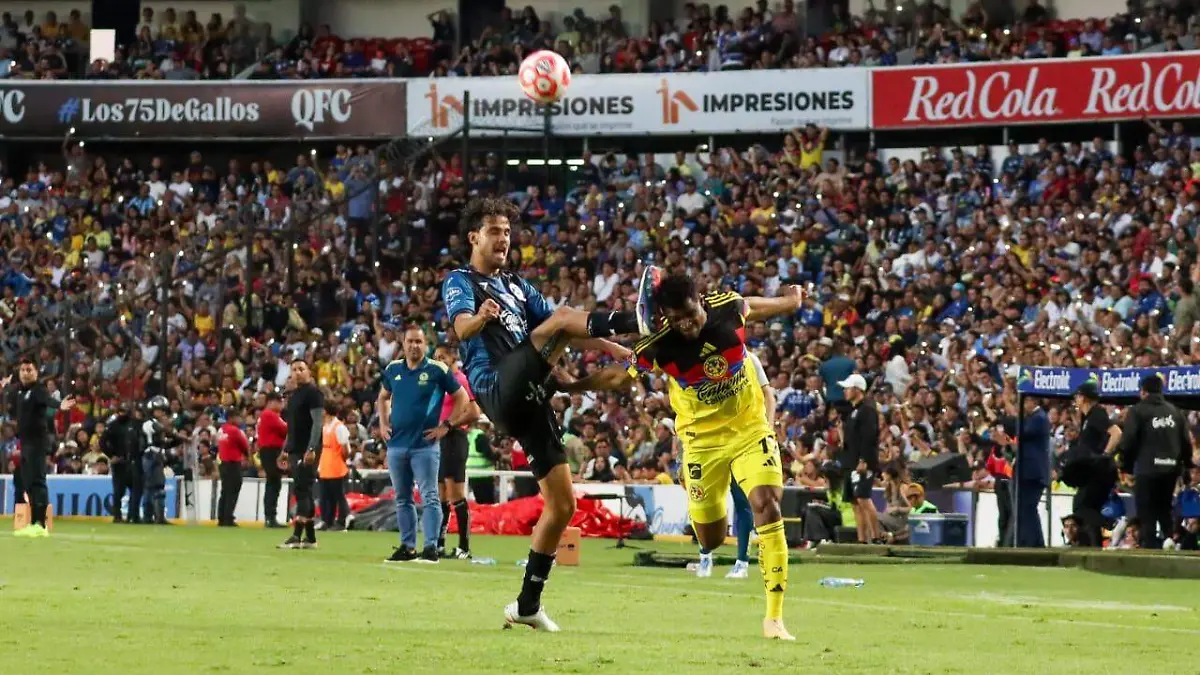 DEP Gallos