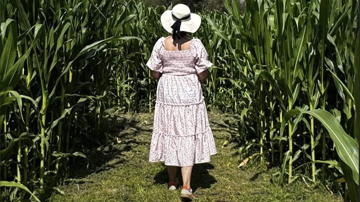 LABERINTO DE MAIZ