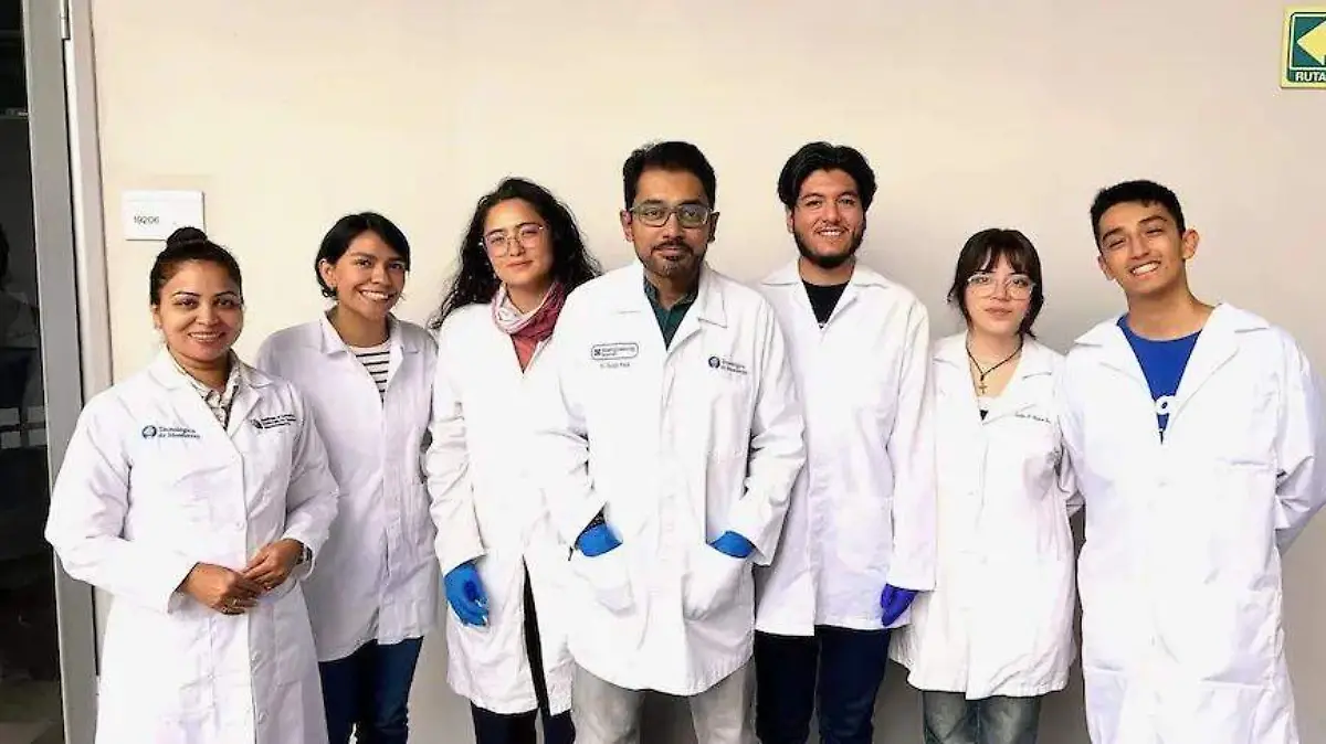 INVESTIGADORES
