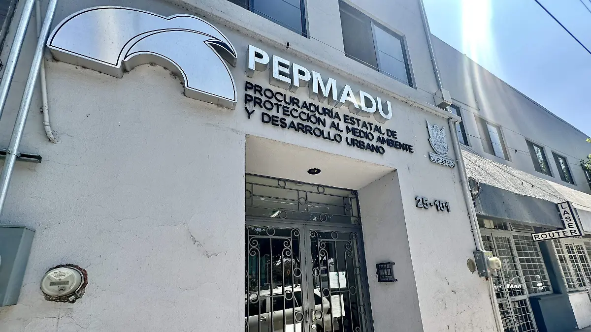 250228_PEPMADU_IS_3