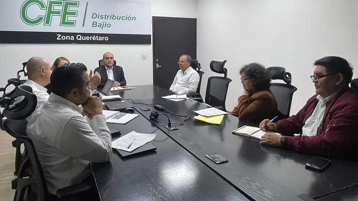 REUNIÓN GILBERTO CFE