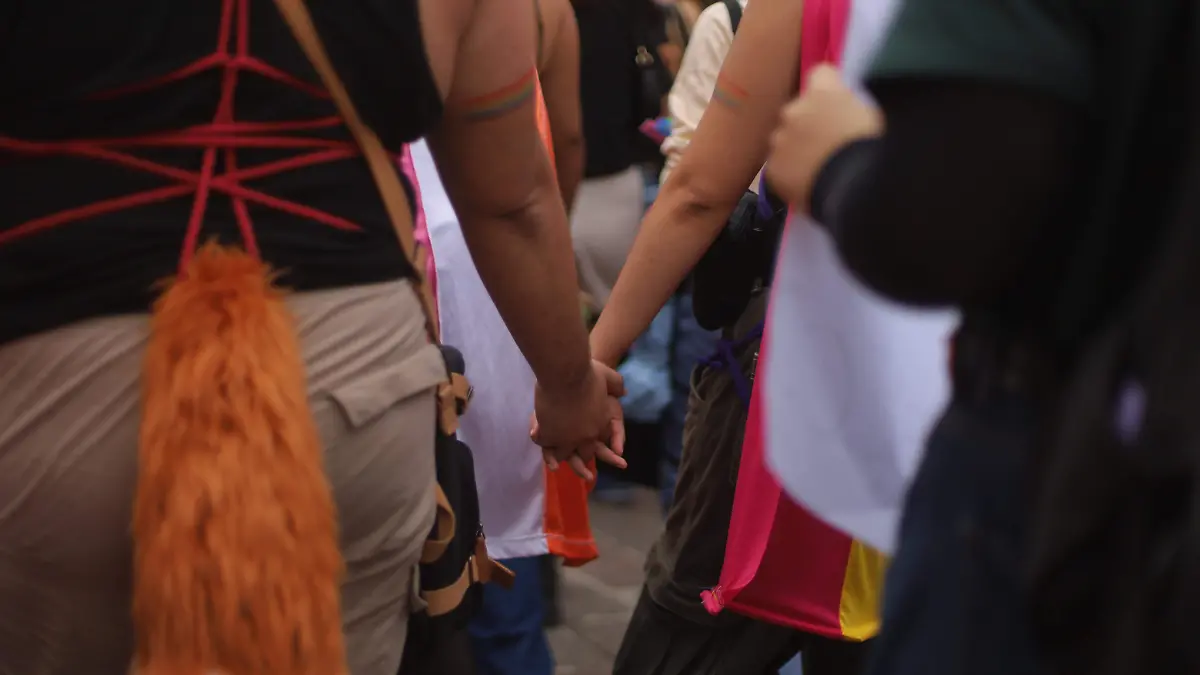 260613_MARCHA COMUNIDAD LGBT_AG 15